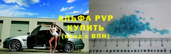 прущие грибы Надым