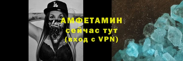 прущие грибы Надым