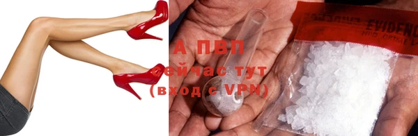 прущие грибы Надым
