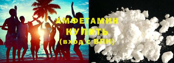 прущие грибы Надым