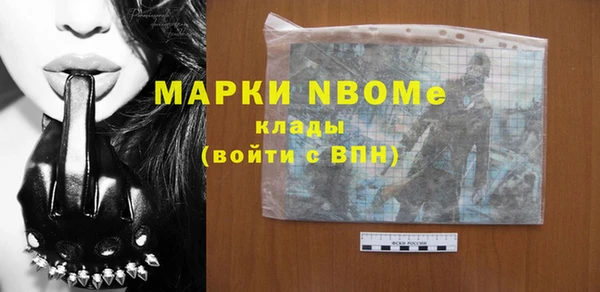 прущие грибы Надым