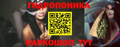 ПСИЛОЦИБИНОВЫЕ ГРИБЫ Обнинск