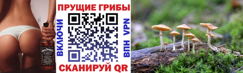 Псилоцибиновые грибы Psilocybe  наркошоп  Партизанск 