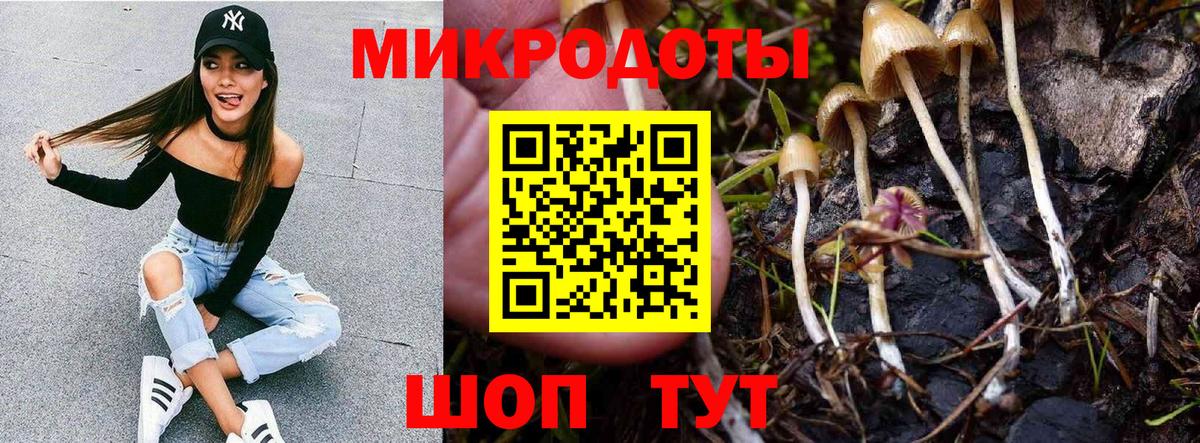 Псилоцибиновые грибы Magic Shrooms Партизанск