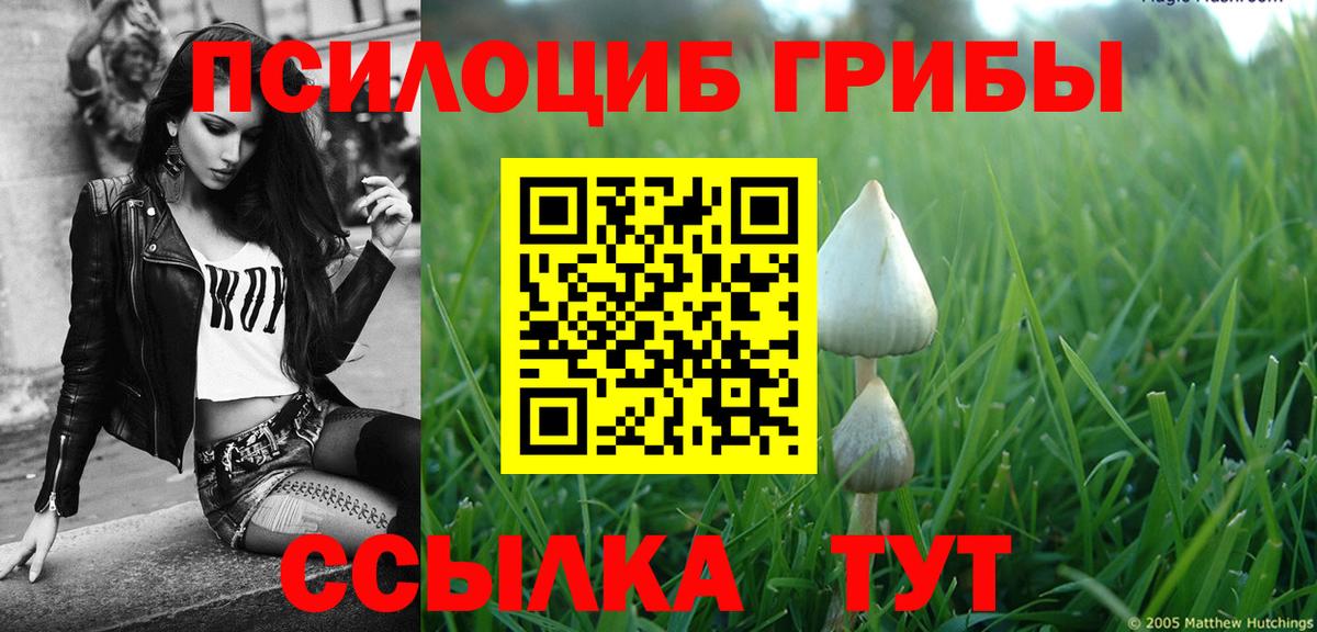 Партизанск  Псилоцибиновые грибы GOLDEN TEACHER  Вход с VPN 
